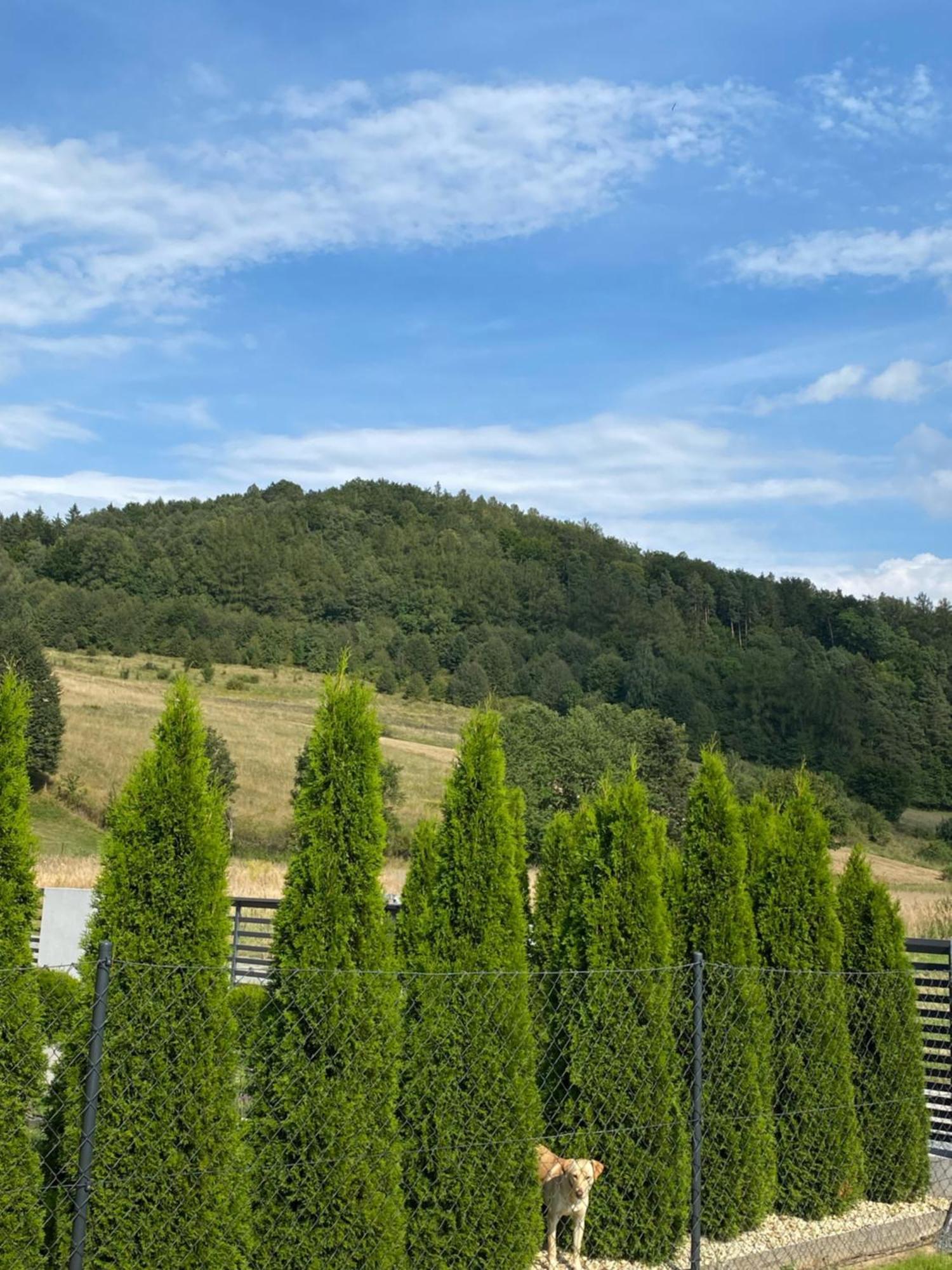 Domek Pod Sosnowa Gora Zelazno  Buitenkant foto